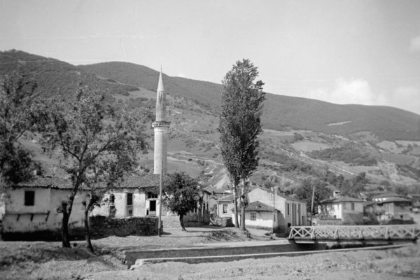 graziotis036